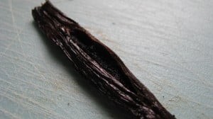 IMG_1883 IMG_1883