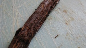 IMG_1886 IMG_1886