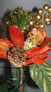 IMG_2241 IMG_2241
