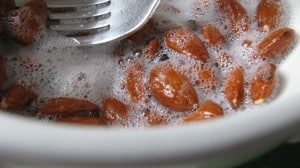 IMG_2328 IMG_2328