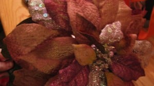 IMG_2347 IMG_2347