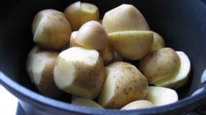 IMG_2353 IMG_2353
