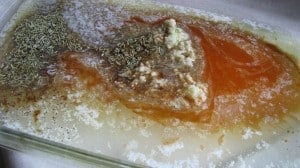 IMG_2370 IMG_2370