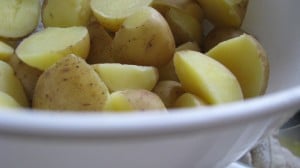IMG_2375 IMG_2375