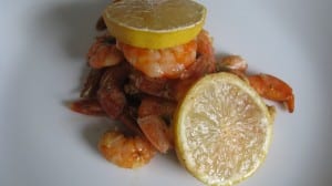 IMG_2384 IMG_2384