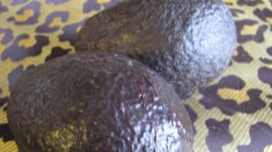 IMG_2578 IMG_2578