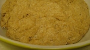 IMG_2696 IMG_2696
