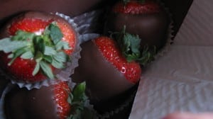 IMG_2713 IMG_2713