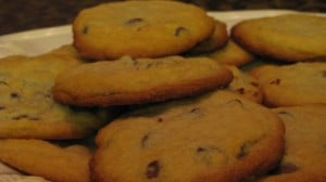 IMG_2748 IMG_2748