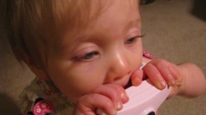 IMG_2755 IMG_2755
