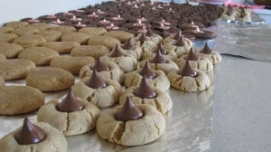 IMG_2767 IMG_2767