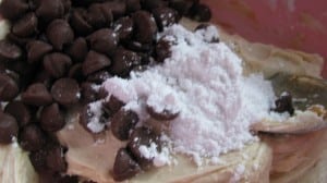 IMG_2834 IMG_2834