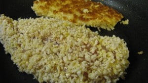 IMG_2858 IMG_2858