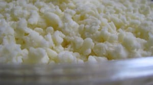 IMG_2900 IMG_2900