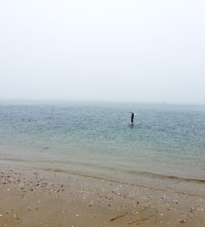 Nantucket-8-2