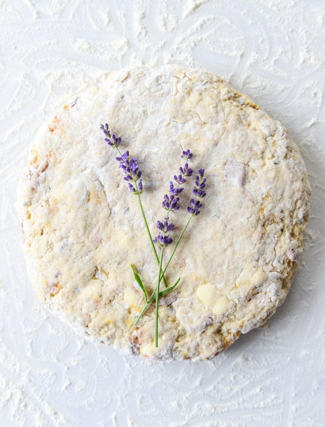 caramelized peach and lavender scones I howsweeteats.com