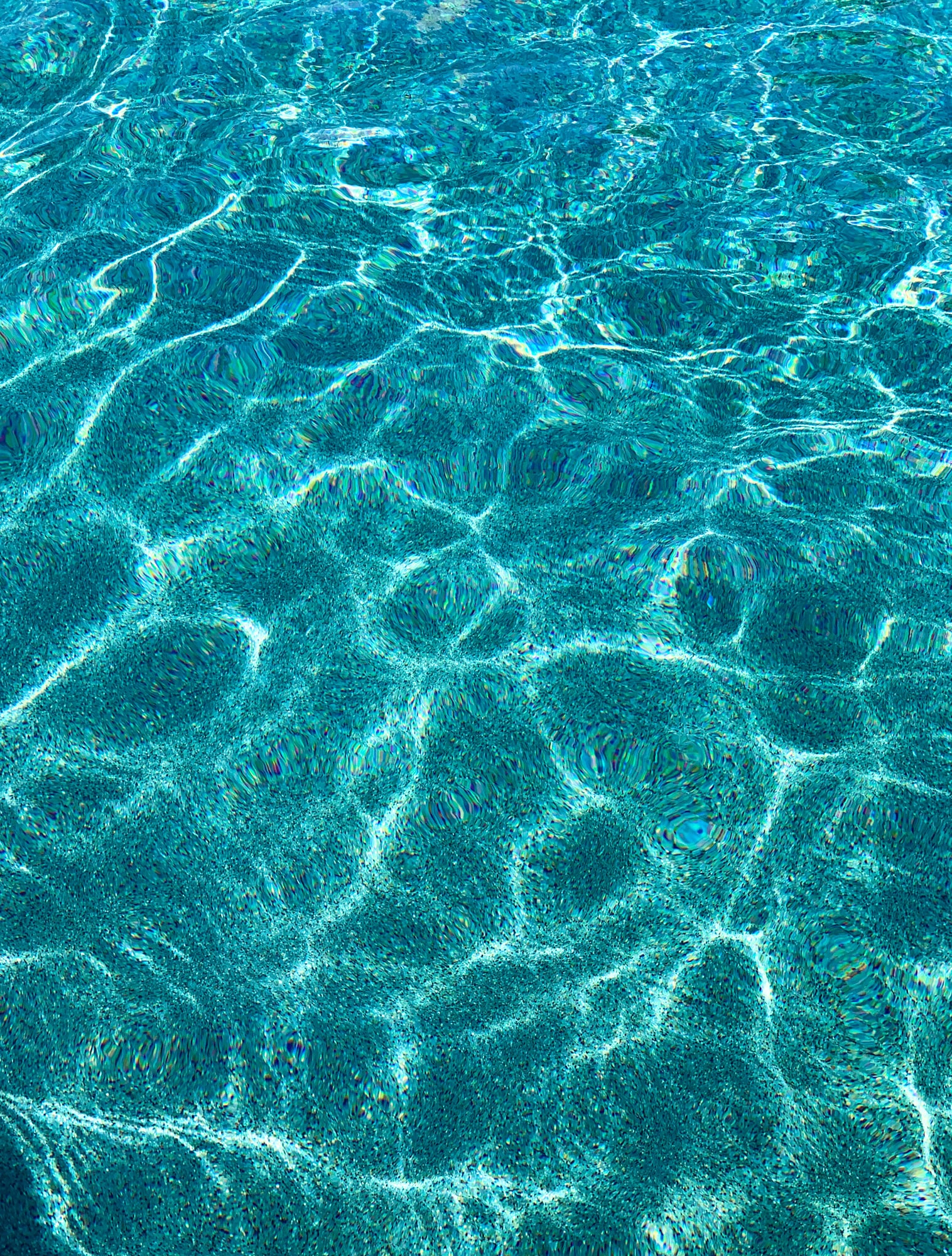 summer fridays