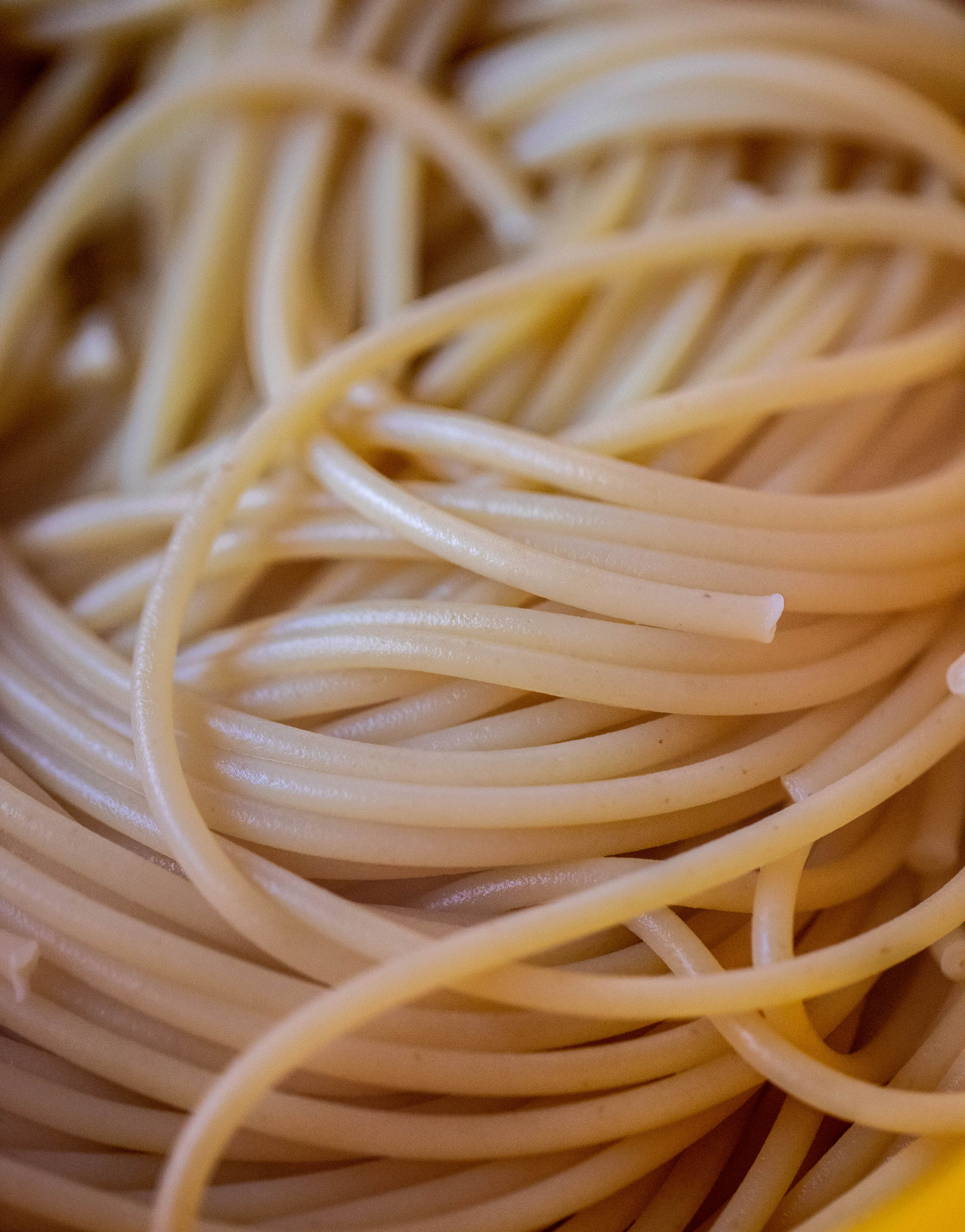 bucatini pasta