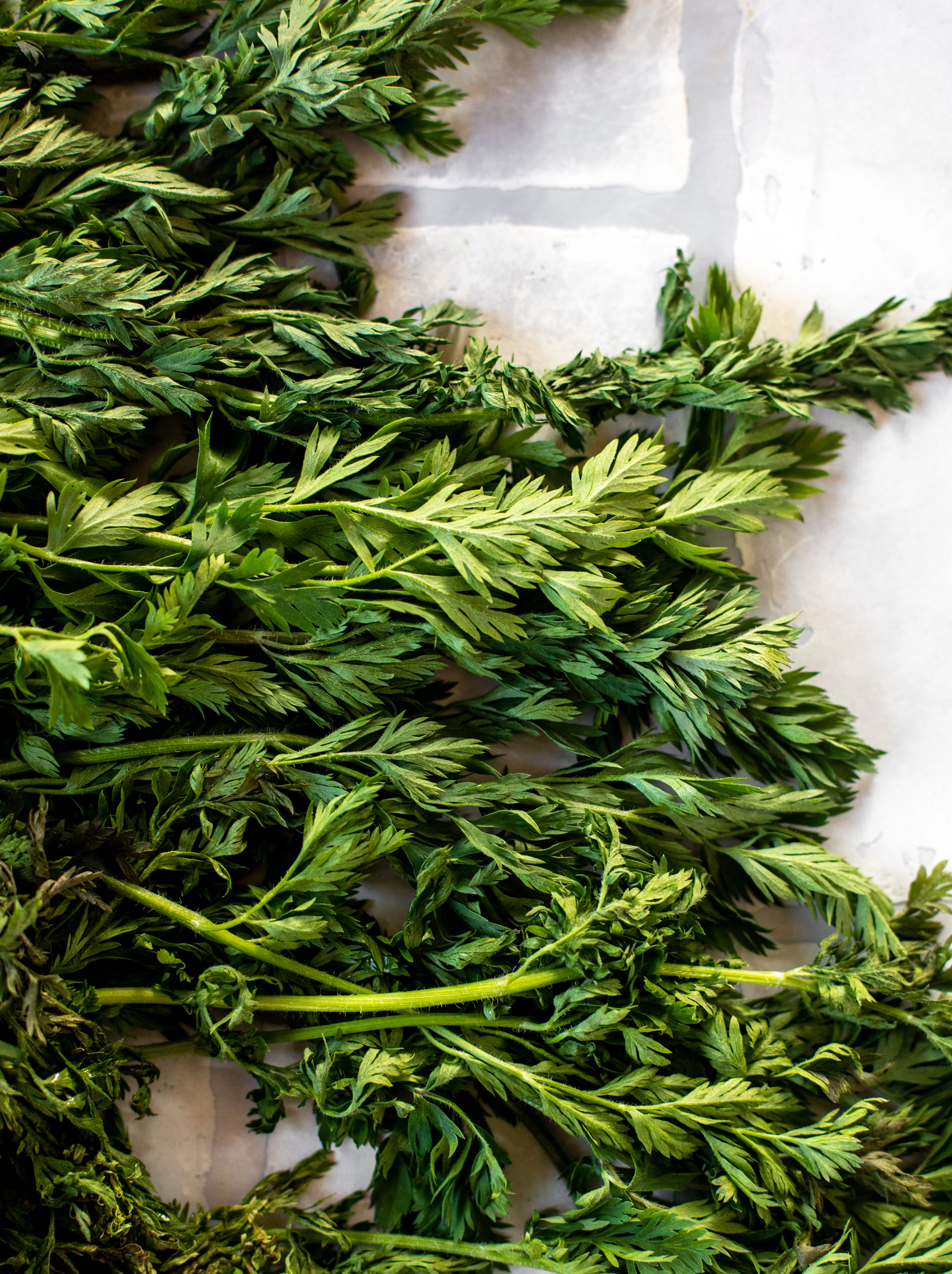 carrot tops