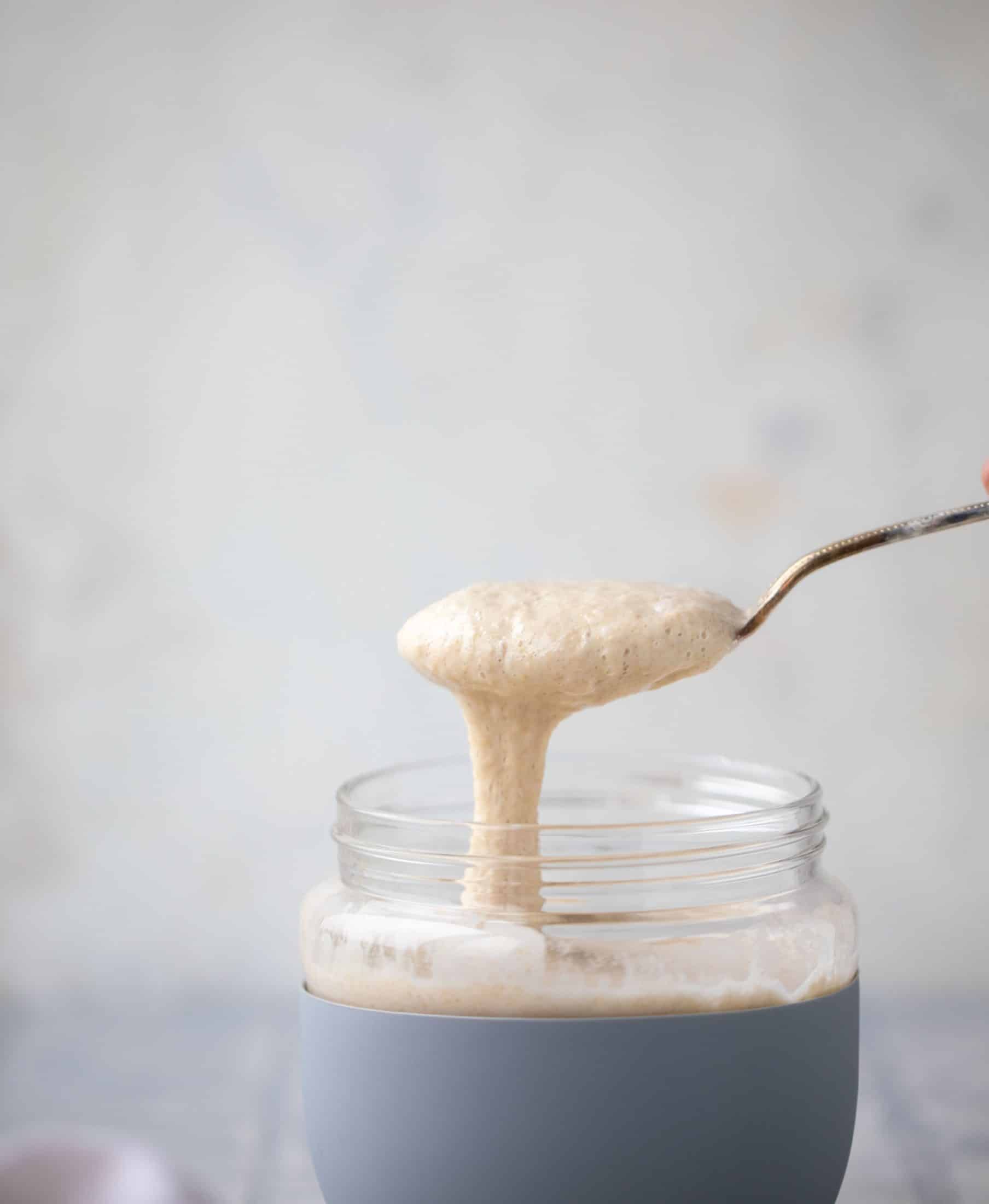 sourdough starter
