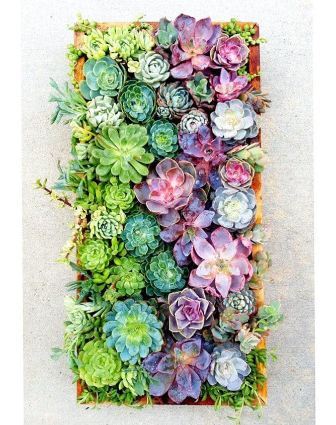 currently crushing on I howsweeteats.com