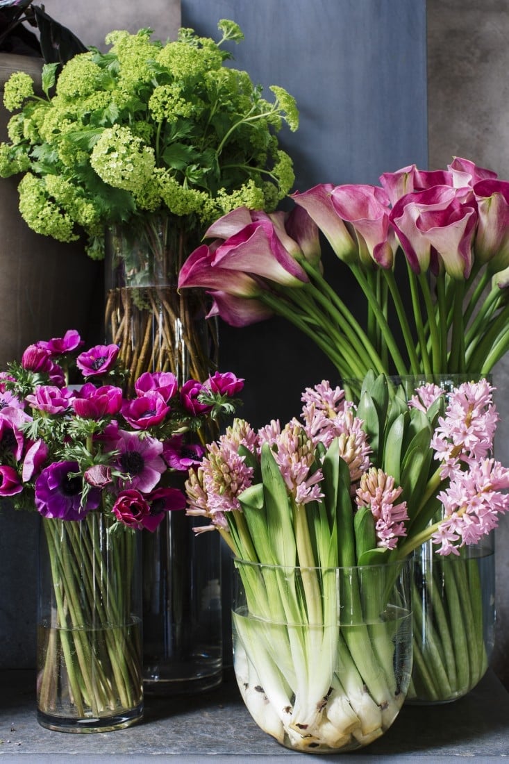 currently crushing on I howsweeteats.com