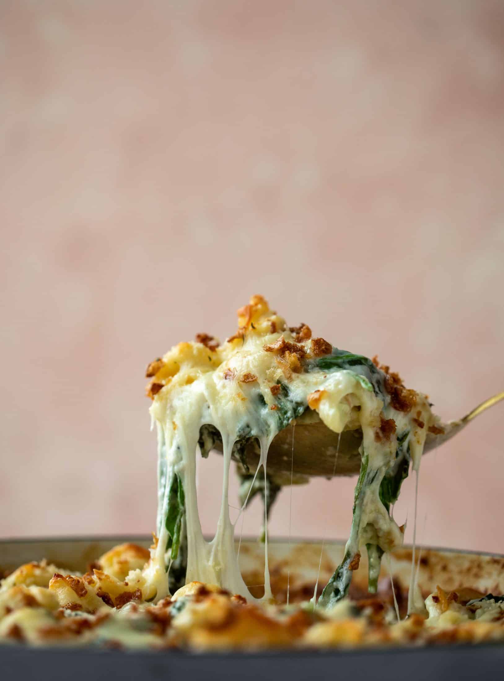 This creamed spinach mac and cheese is a dreamy, cheesy mac and cheese dish with tons of fresh baby spinach! Super comforting and flavorful. 