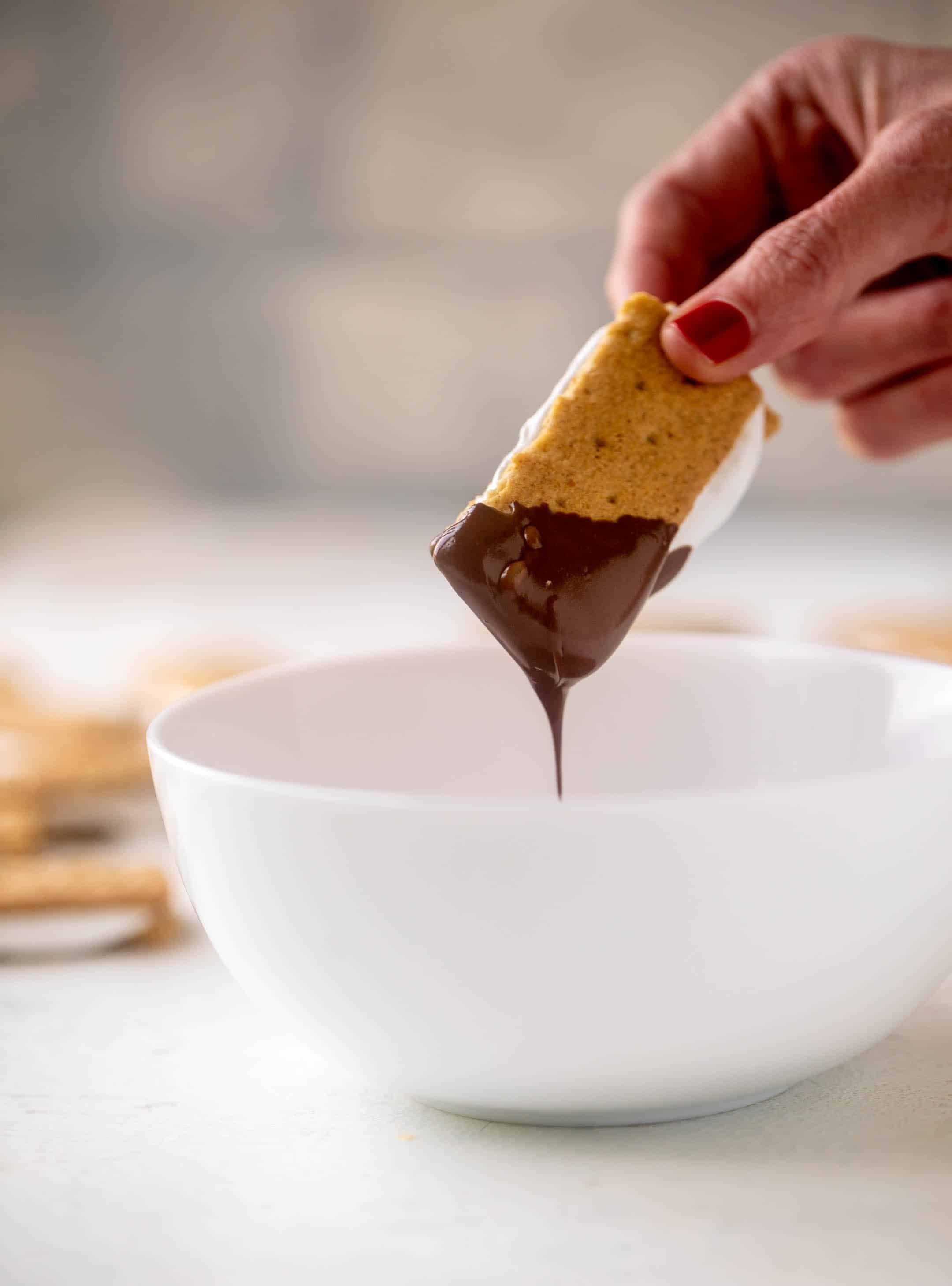 s'mores bites