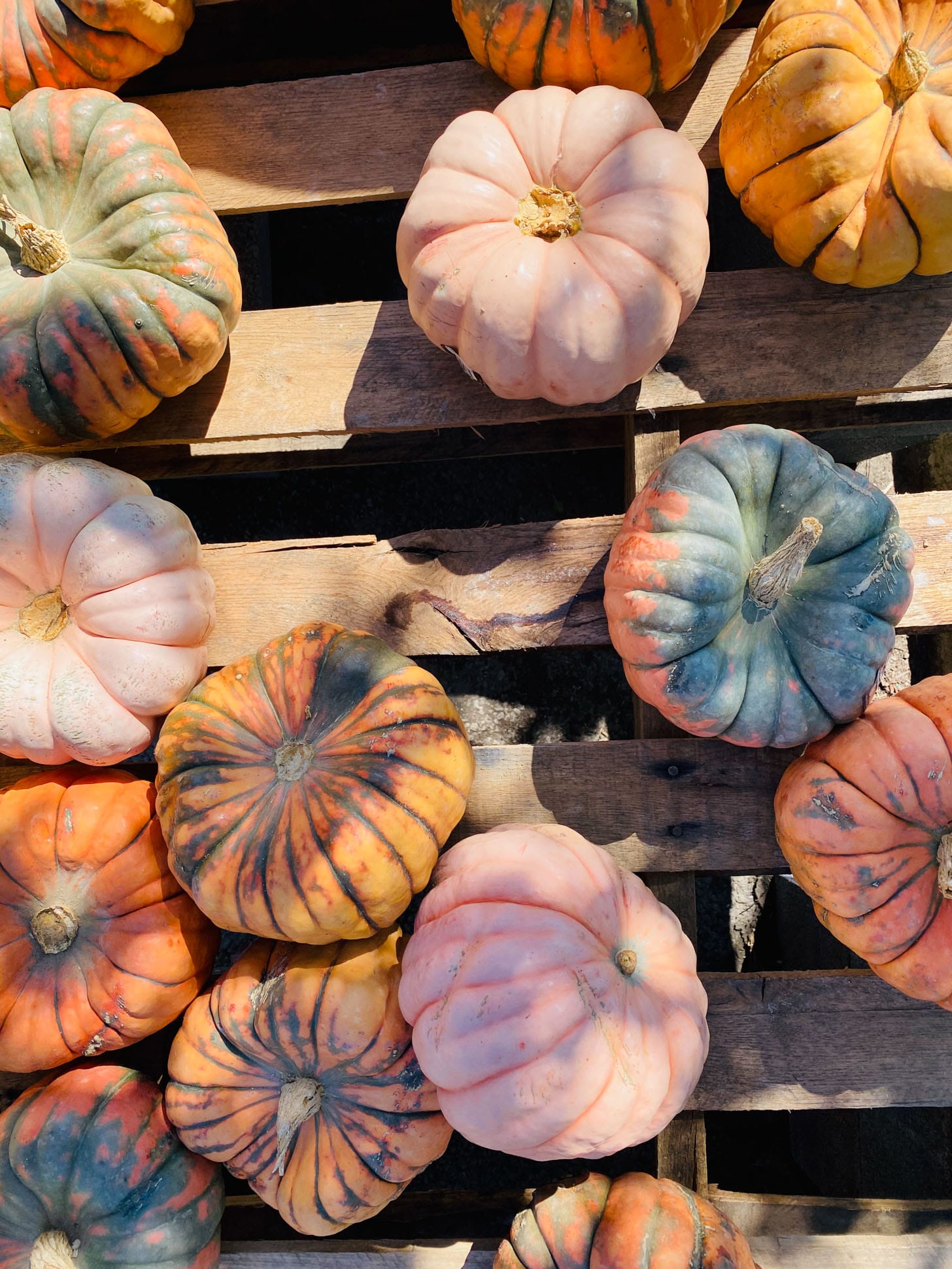october favorites