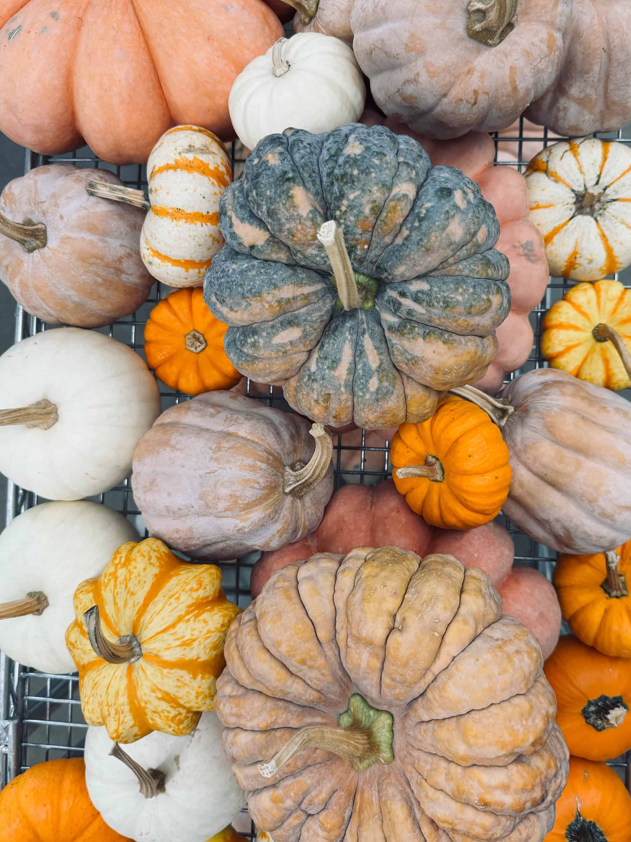 september favorites